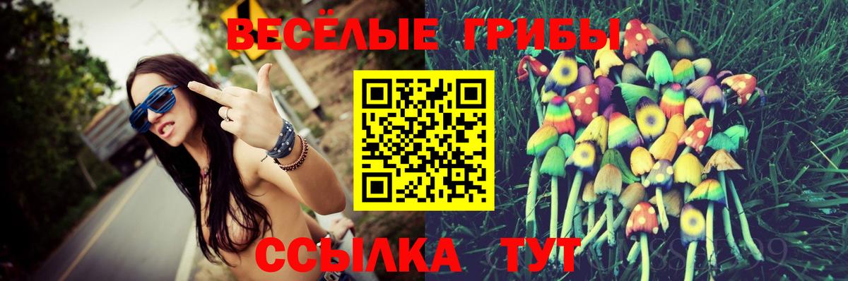 Псилоцибиновые грибы Psilocybe  Вход с VPN  Галлюциногенные грибы мицелий  Кумертау 